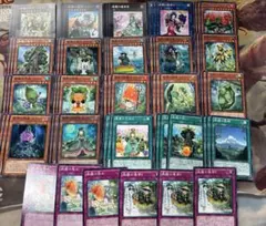 遊戯王 森羅 デッキパーツ