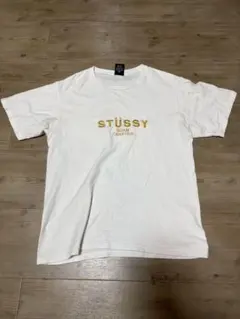 Stüssy ステューシー 刺繍ロゴ Tシャツ メキシコ製/USA/S グアム