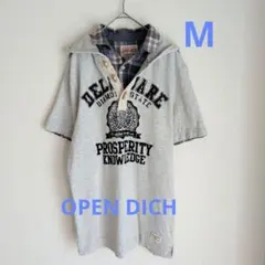 Item thumbnail for item 322555a1-b737-4b56-924c-d6539876a140