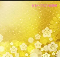 【まる*⑅プロフ必読様専用】商品