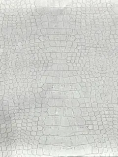 ⋆✦クロコダイル柄⋆✦薄グレー系⋆✦カッコイイ⋆✦生地幅×50cm