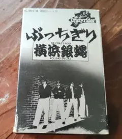 入手困難 激レア 横浜銀蝿 ぶっちぎり vhs ビデオテープ 燃焼前篇 