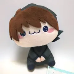 【匿名配送✨️】劇場版 忍たま乱太郎 もちぴこぬいぐるみ 土井半助