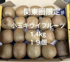 関東圏限定！小玉キウイフルーツ1.４kg