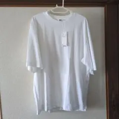 Item thumbnail for item 0d9c5e9f-d0ba-4b7e-b119-8fea3896295e