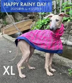 2026年最新】イタグレ コートの人気アイテム - メルカリ