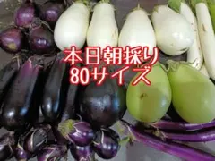 本日朝採り☆茄子のセット80サイズ直送2
