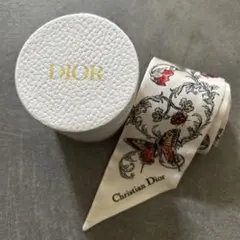 2025年最新】クリスチャンディオール_蝶スカーフの人気アイテム