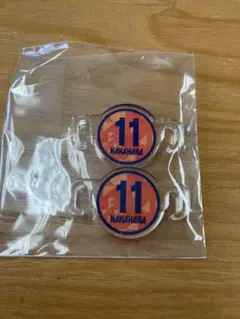 Item thumbnail for item d21028eb-524c-46a4-8e58-c1da35325533