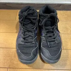 ダンクショット 21センチ