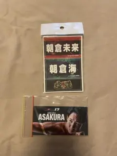 Rizin 朝倉未来 シール RIZIN 朝倉未来 超RIZIN 3 オリジナルシール