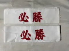 Item thumbnail for item 85e54174-9b59-4569-9848-44f6a108337b