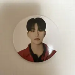 seventeen ホシ　缶バッジ　follow