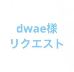 dwae様 リクエスト 5点 まとめ商品