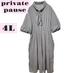 【美品】プライベートポーズ　幾何柄ワンピース 4L