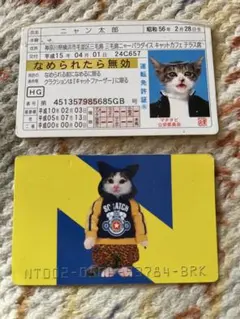 猫免許証＆NYATAYAカード 2枚セット パロディグッズ
