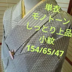 6062単衣　しっとり上品　小紋のサムネイル