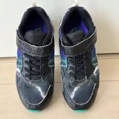 Item thumbnail for item bfad6a14-273f-469a-927a-c1ef9e70b2f4