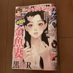 グランドジャンプめちゃ　　12 発売11/26