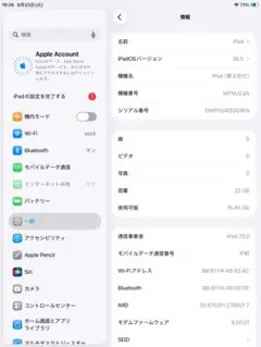◇ios最新26 iPad 8 ( 新品 保護フィルム付き) 第8世代 セルラー