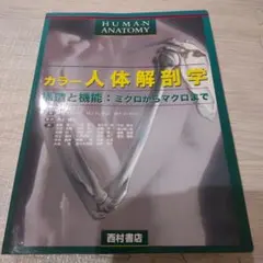 カラー人体解剖学 M.J.ファーガソン著