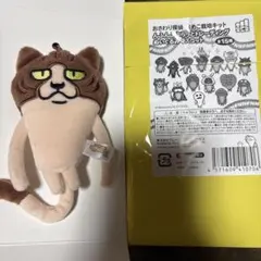 15周年 なめこ栽培キット ぬいぐるみマスコット ねこなめこ