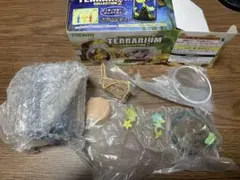 ピクミン テラリウムコレクション2 ③〜⑥