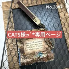 CATS様ෆ˚*ご専用ෆ˚*彩りパイ風クッションチャーム