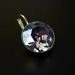 SWAROVSKI スワロフスキー ドロップ ピアス クリスタル パープル 片耳のサムネイル
