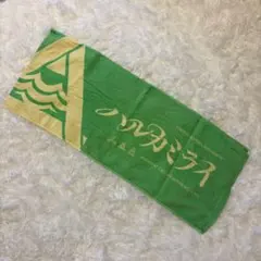 ハルカミライ　バンド　タオル　ライブ　ツアーのサムネイル