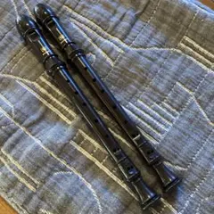 管楽器・吹奏楽器 Suzuki 2026年最新】Suzuki 管楽器・吹奏楽器の人気アイテム - メルカリ