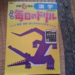 小学6年の漢字
