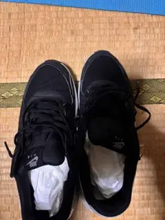 Nike Air Max ブラック/グレー スニーカー