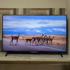 2025年最新】funai テレビの人気アイテム - メルカリ