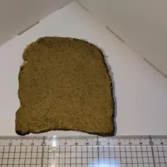 フェイク食パン　3枚　まとめ売り