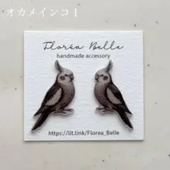 2026年最新】オカメインコピアスの人気アイテム - メルカリ