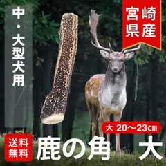 2026年最新】鹿の角の人気アイテム - メルカリ