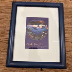 海洋生物アート 額装済み 絵画 インテリア