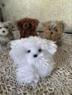 ふわふわぬいぐるみ犬 （マルチーズ）ハンドメイド