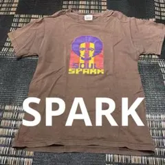 SOUL SPARK ブラウン Tシャツ Mサイズ