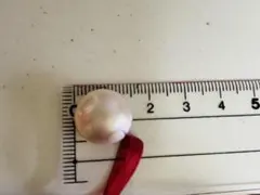 Item thumbnail for item 97edbb8e-2650-405b-a651-0ef591edfc95