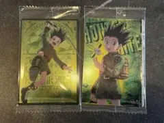 HUNTER×HUNTER ゴン イタジャガ