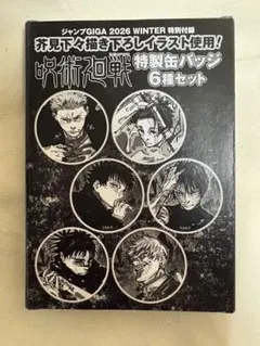 呪術廻戦 缶バッジ 6種セット