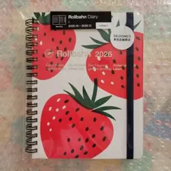 Rollbahn 2026 月間ダイアリー Lサイズ