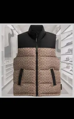 ダウンベスト ブラウン/ブラック