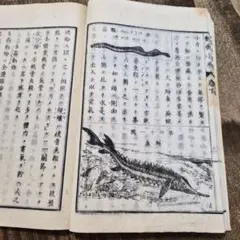 2026年最新】一閑張り和紙の人気アイテム - メルカリ