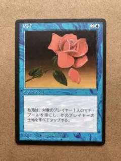 枯渇(日本語版) MTG マジックザギャザリング