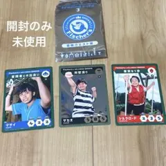 フィッシャーズ　トレカ　グリーニアのサムネイル