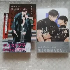 ナツメカズキ MODS 直筆サイン入り bl BL - メルカリ