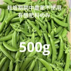 5/28収穫・発送】絹さやえんどう 500g 福島県産 - メルカリ